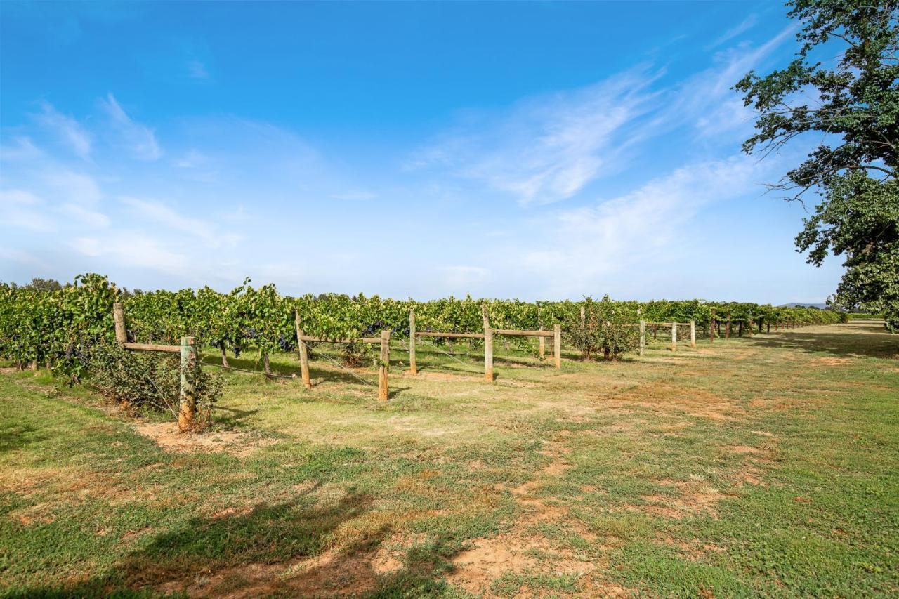 Milawa Vineyard Views - Guesthouse 1 Esterno foto